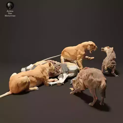 Lionesses vs Spotted Hyenas  3D print model