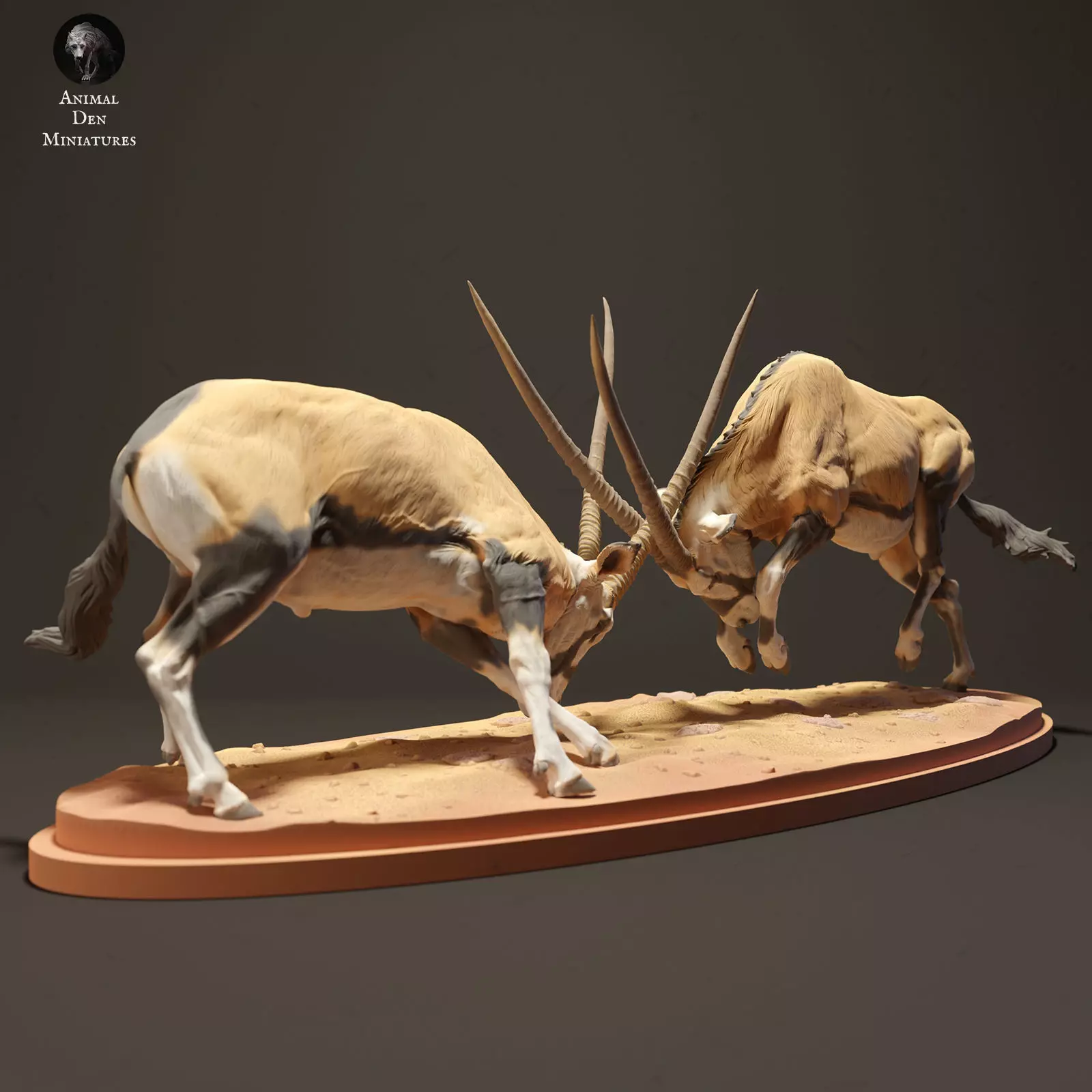 Gemsboks Fighting  3D print model_1
