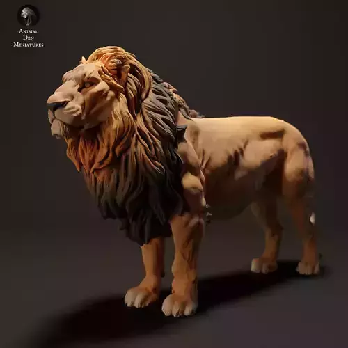 Lion standing