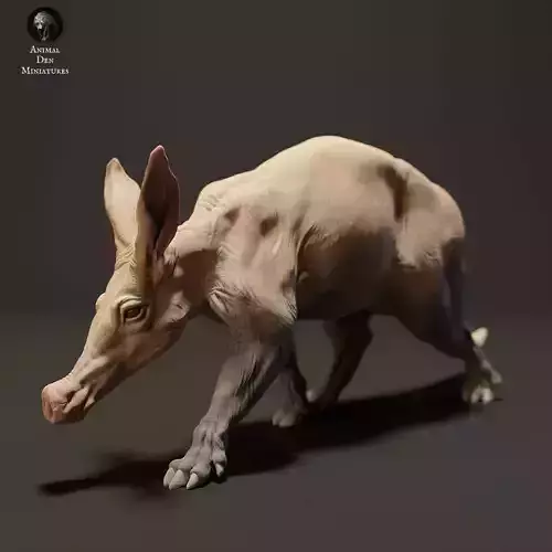 Aardvark 