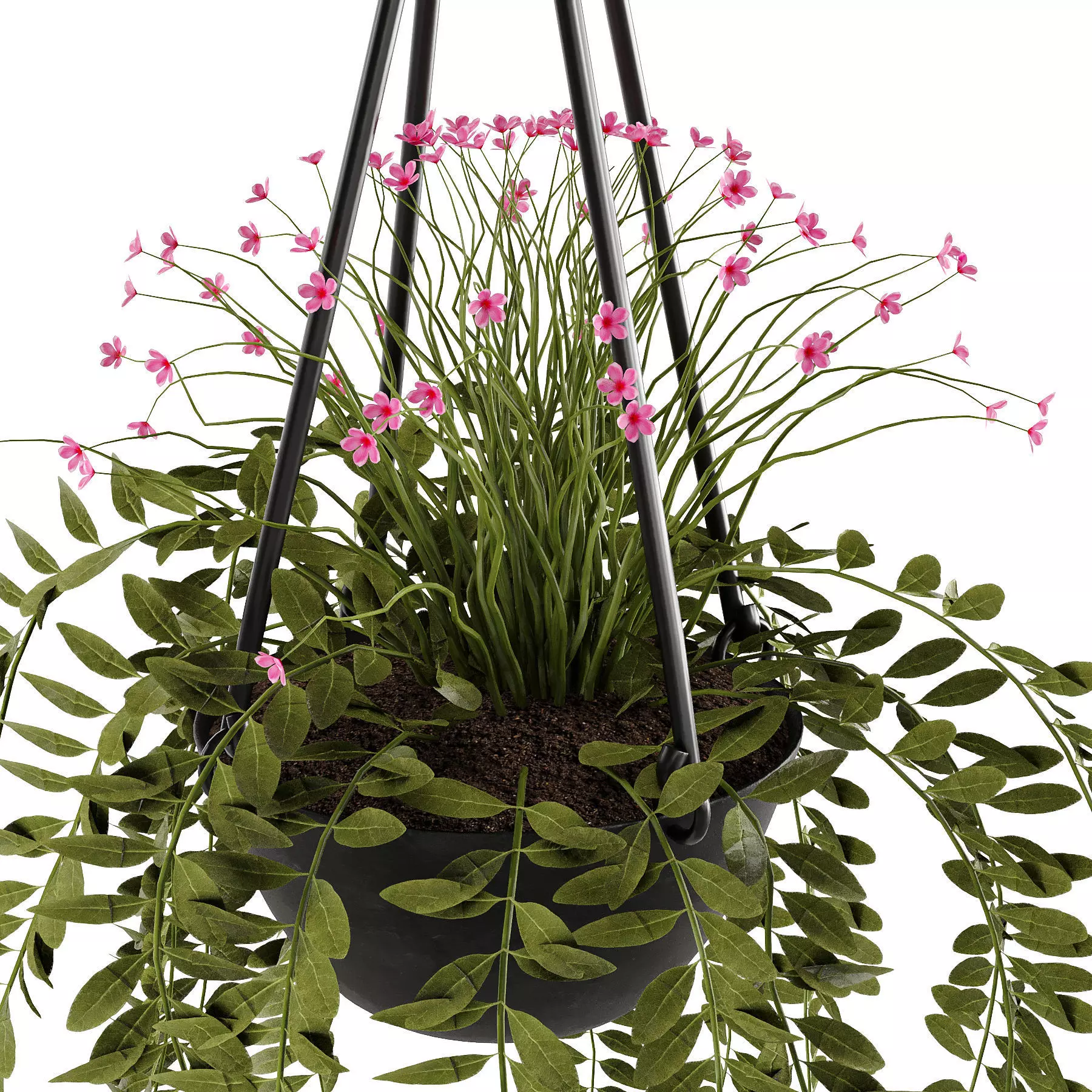 flowerpot plant  3D model_1