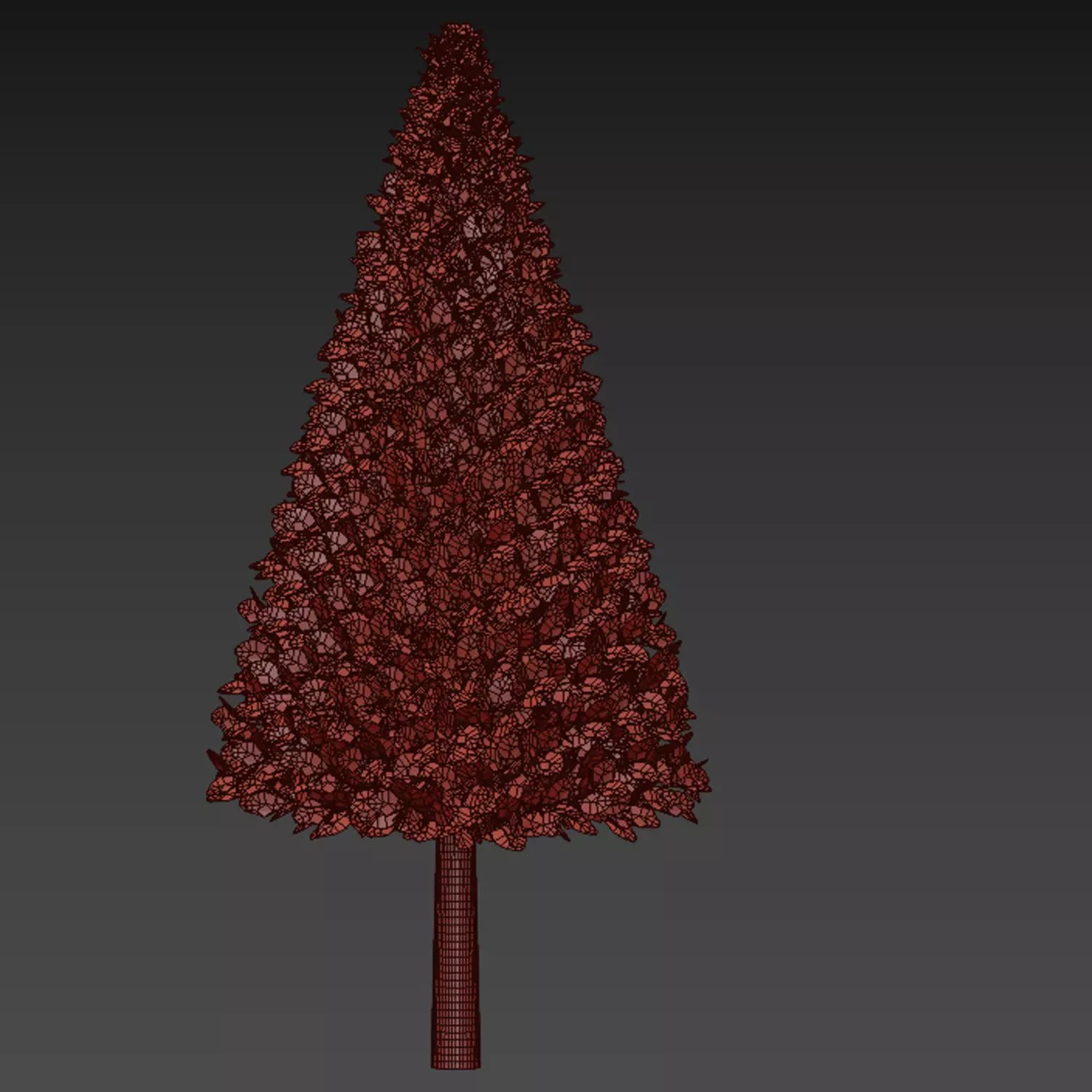 pine tree 3D model_2