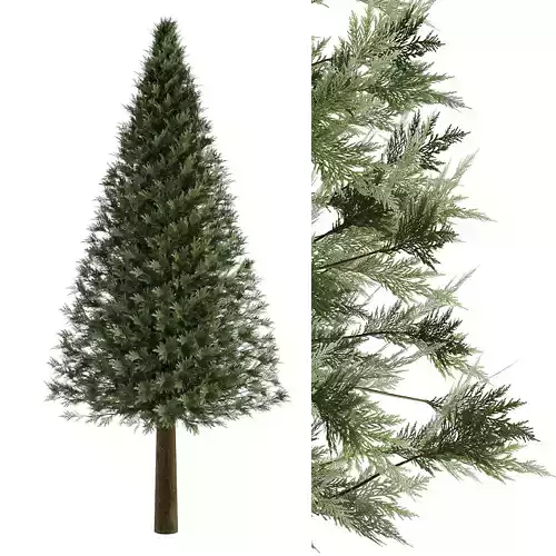 pine tree 3D model