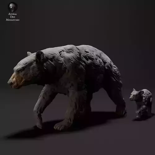 Black Bear and Cub 
