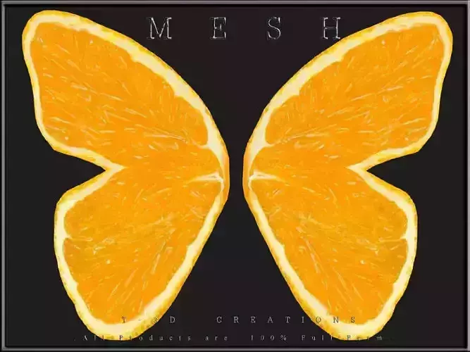 Butterfly Wing Orange