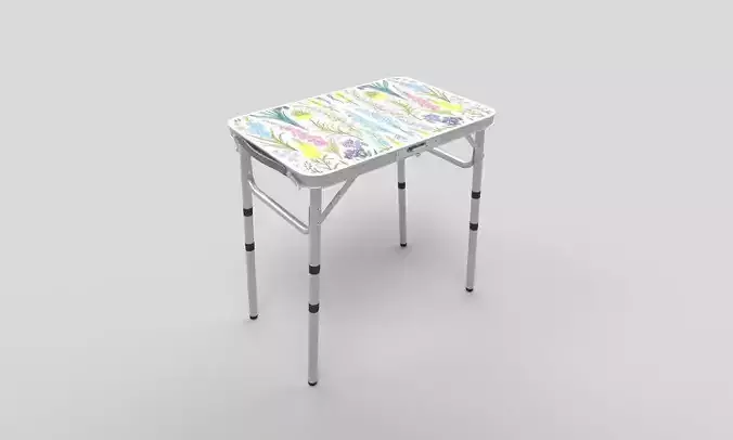 Folding Portable Table