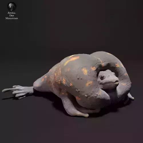 Mexican Burrowing Toad Croak