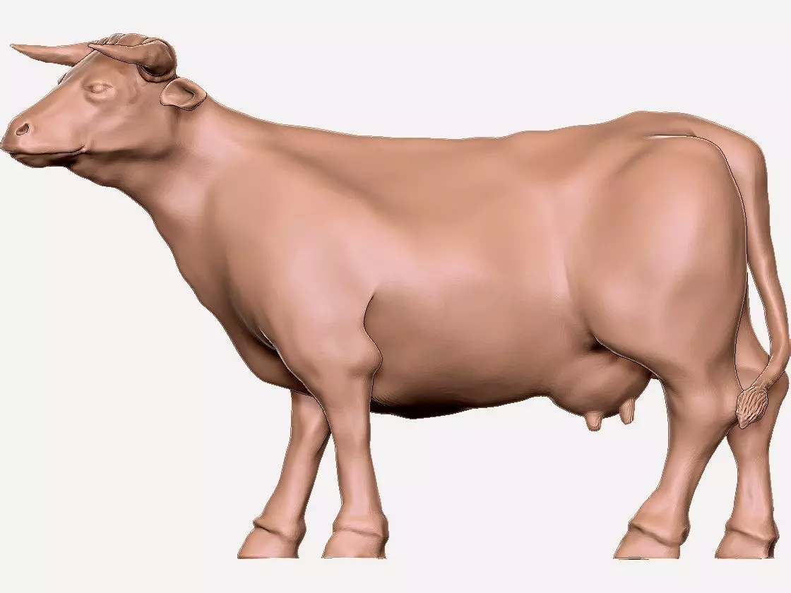 COW 3D MODEL Free 3D model