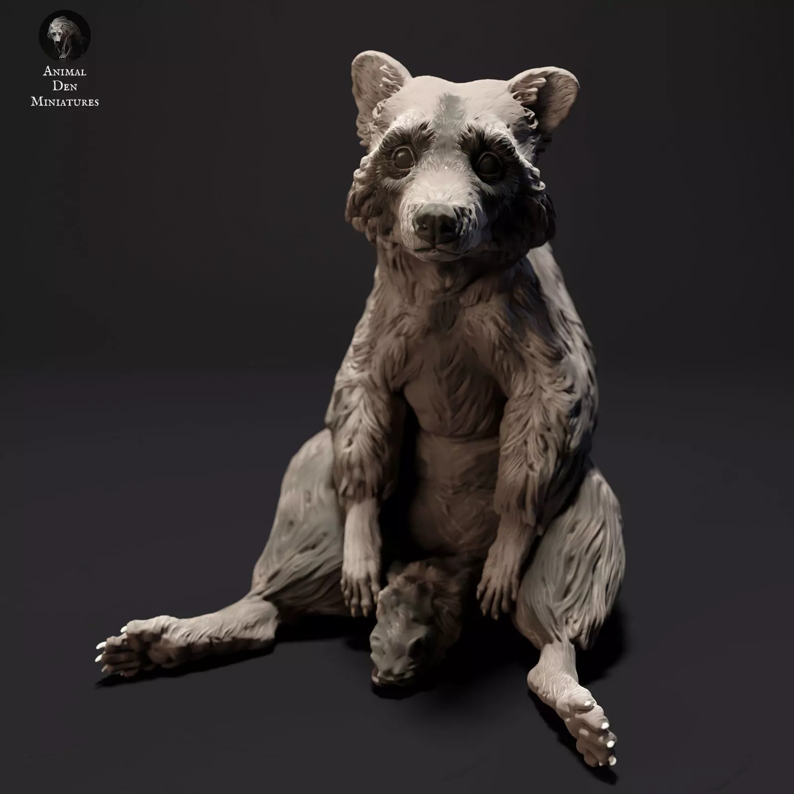 Common Raccoon Sitting 3D print model