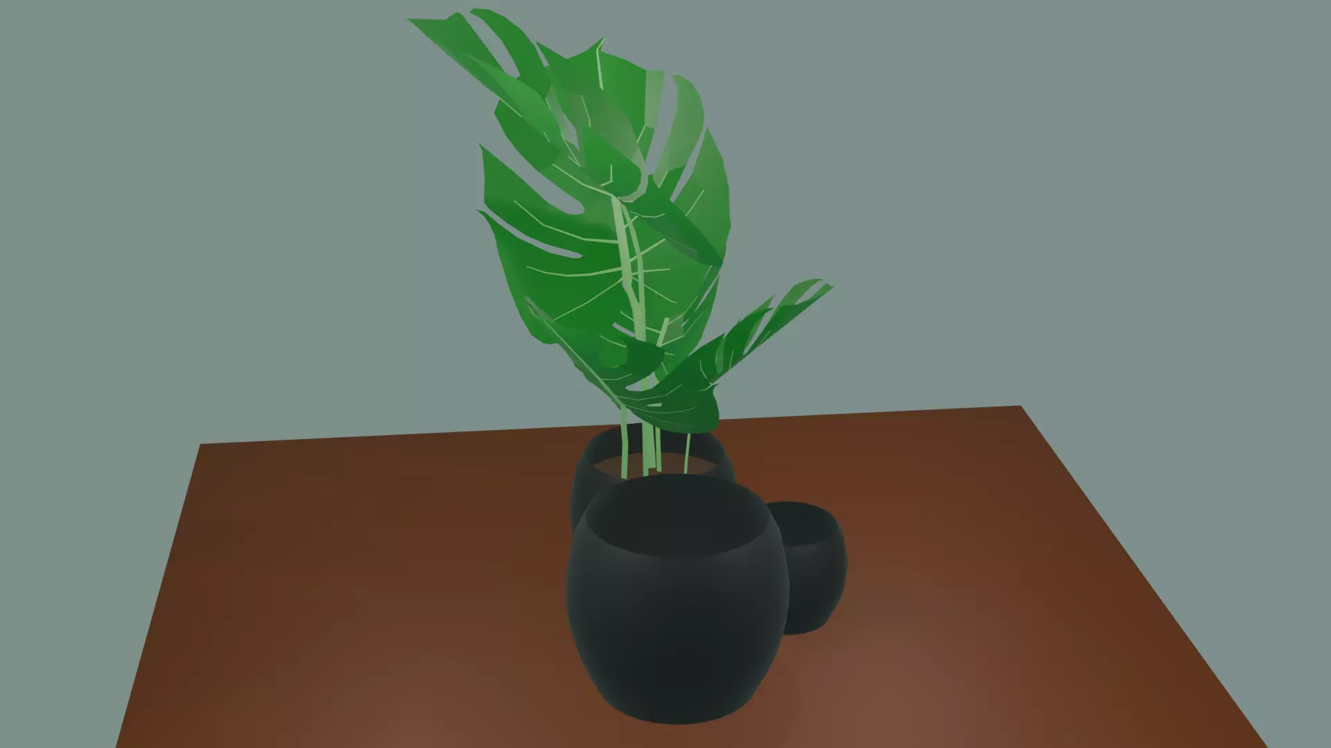 Indoor plant Free 3D model_7