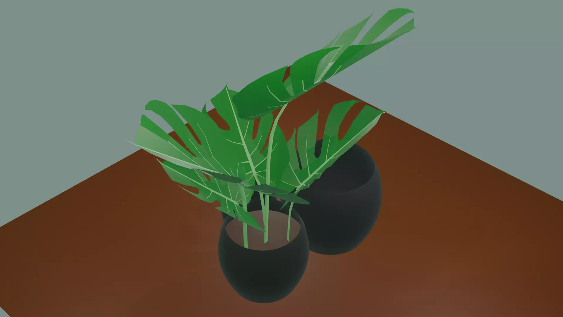 Indoor plant Free 3D model_5