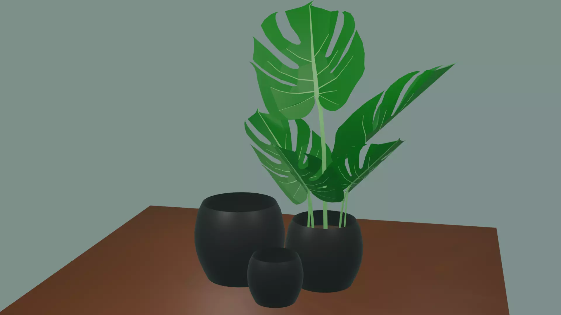 Indoor plant Free 3D model_4