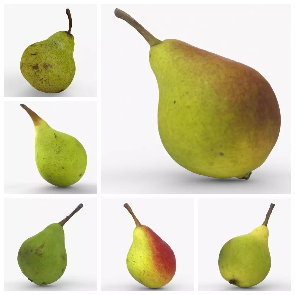 Photorealistic 3D scan of ripe pears 3D Model Collection_0