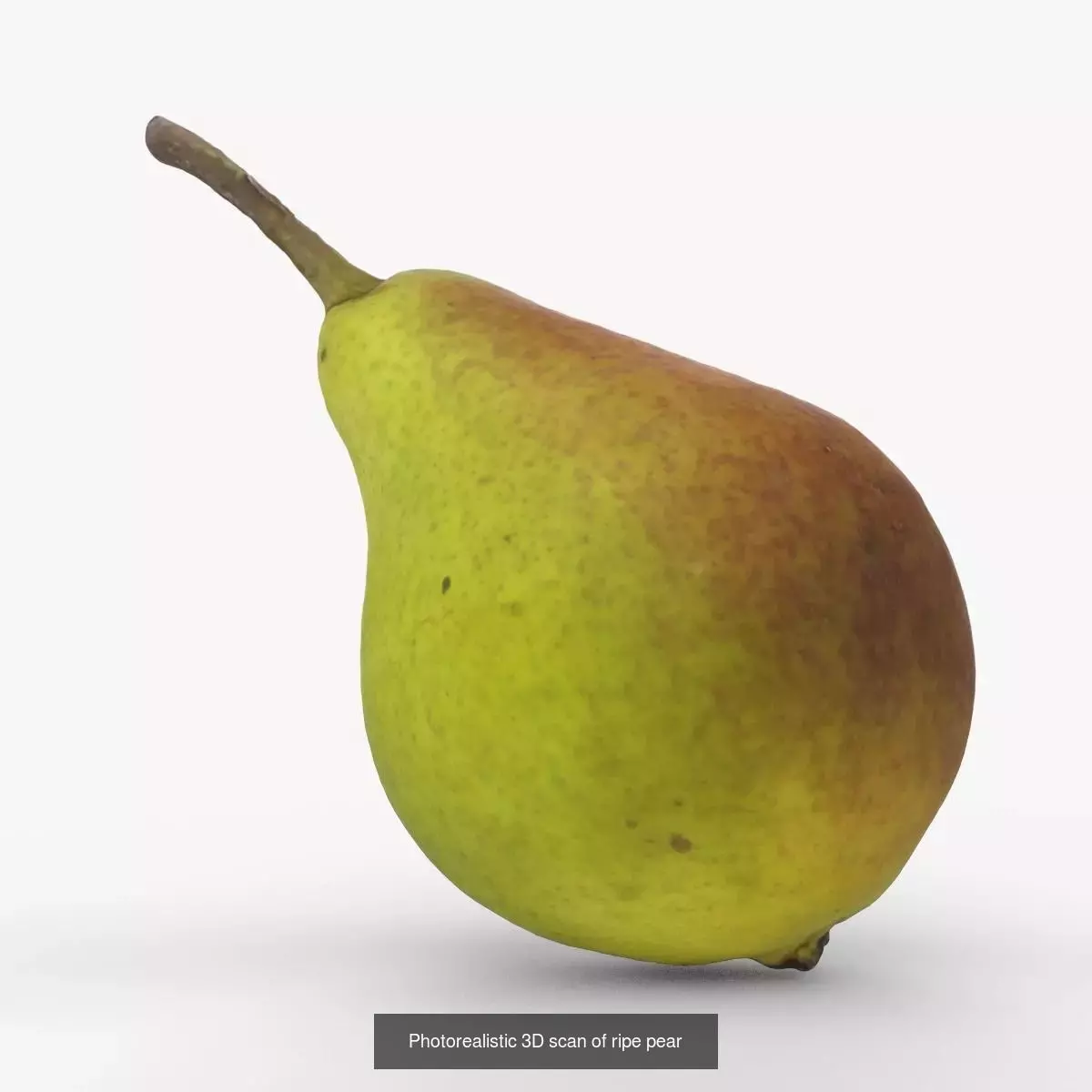 Photorealistic 3D scan of ripe pears 3D Model Collection_5