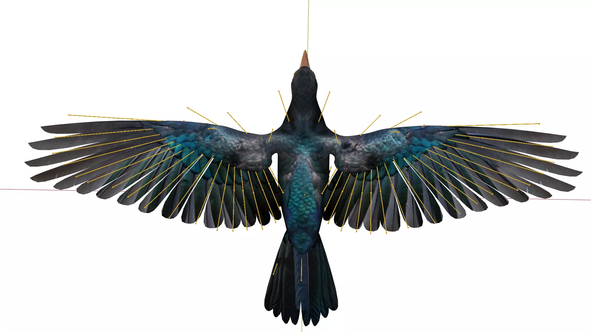 Asian Koel Cuckoo Bird Low-poly 3D model_24