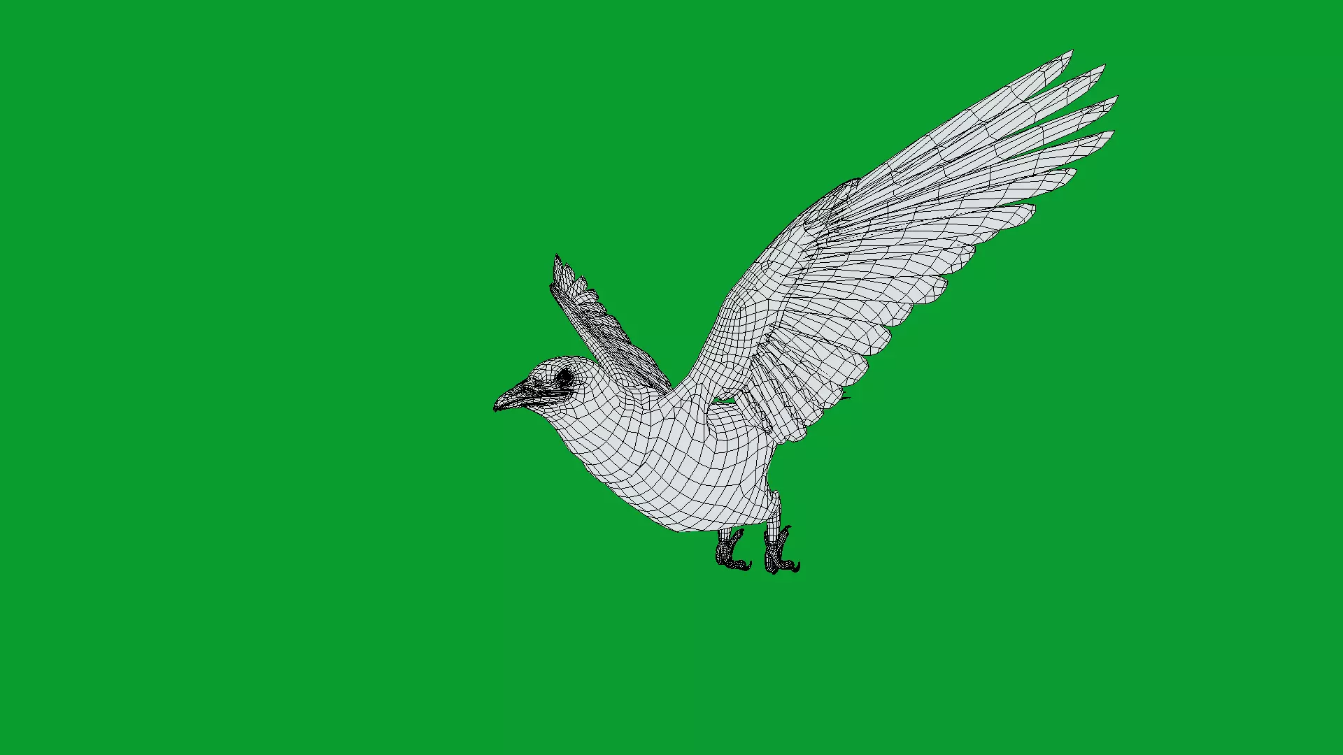 Asian Koel Cuckoo Bird Low-poly 3D model_36