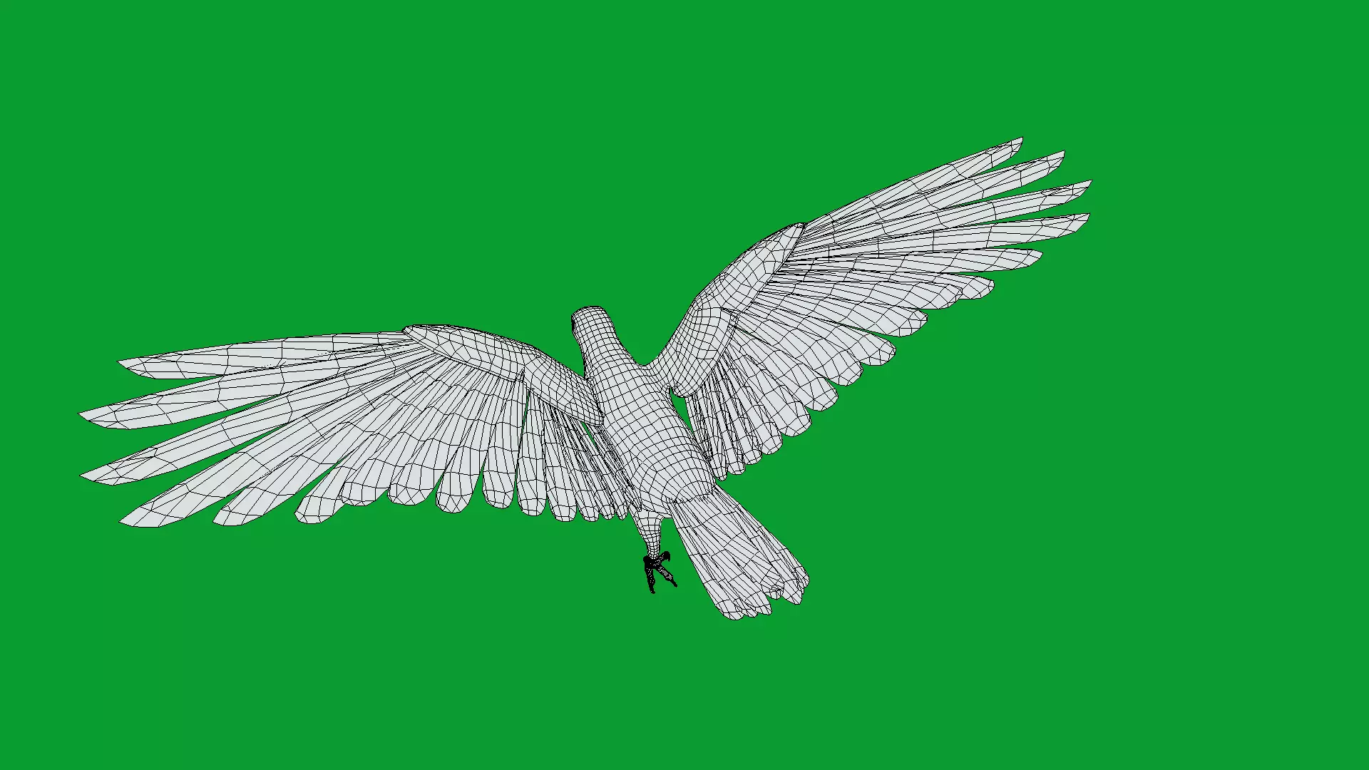 Asian Koel Cuckoo Bird Low-poly 3D model_26