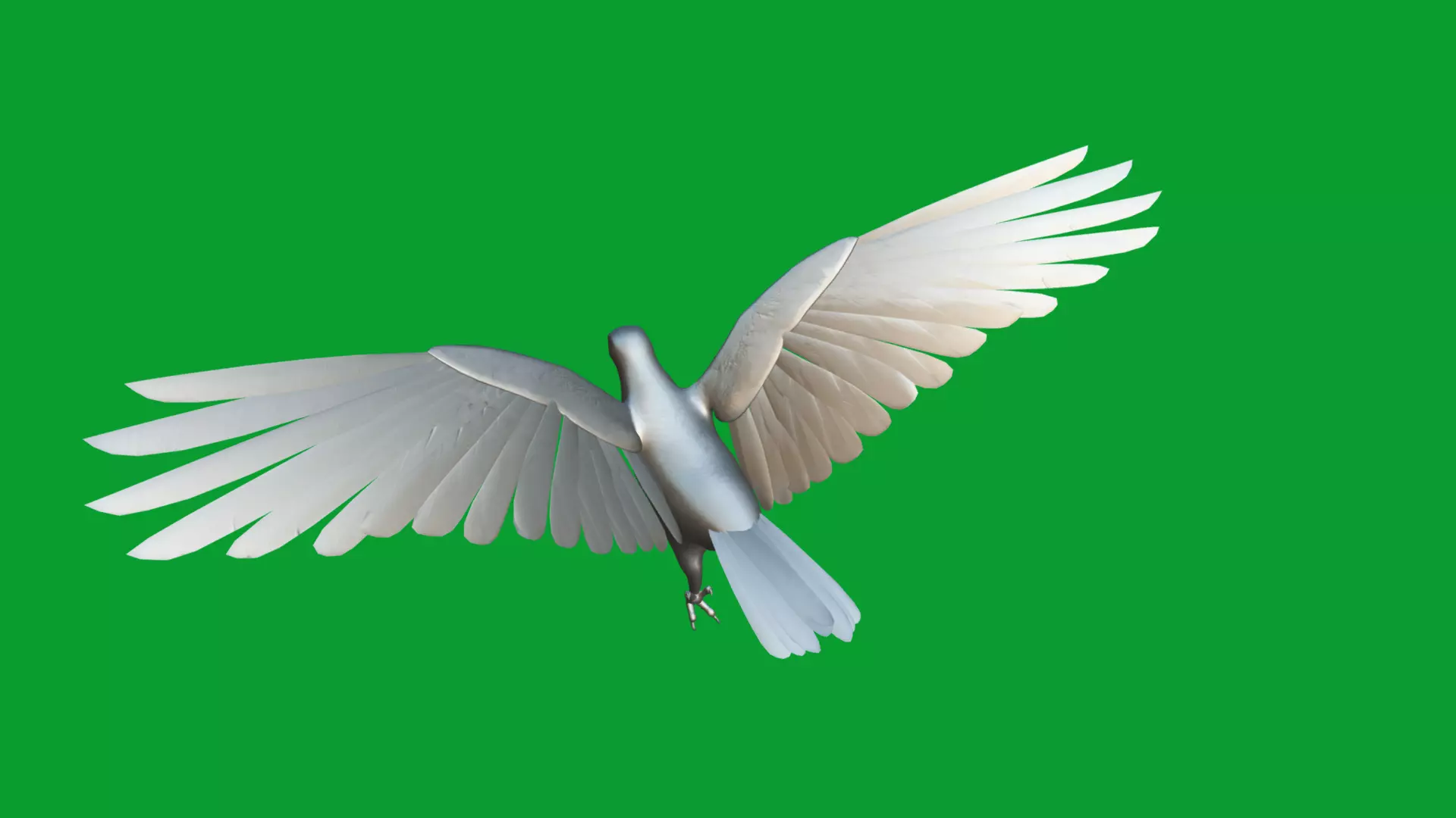 Asian Koel Cuckoo Bird Low-poly 3D model_35