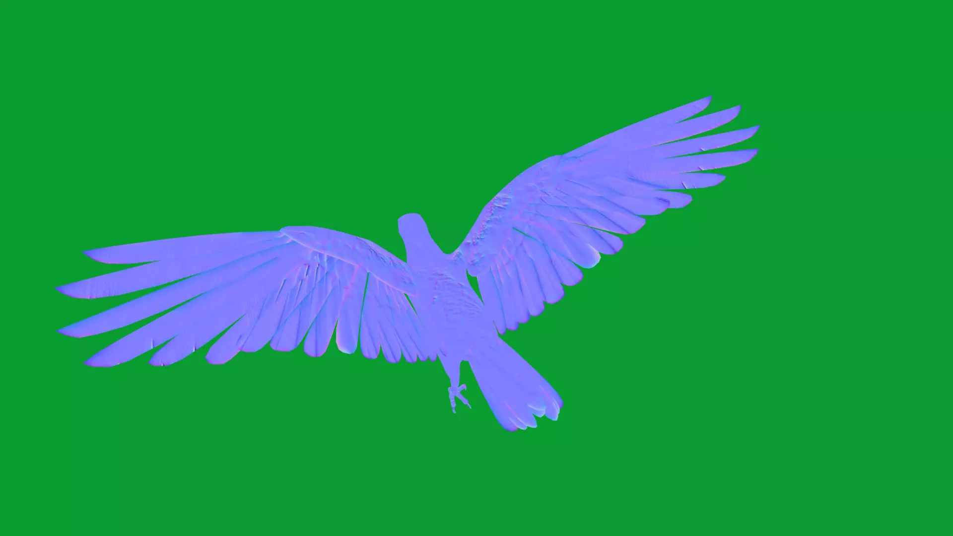 Asian Koel Cuckoo Bird Low-poly 3D model_22