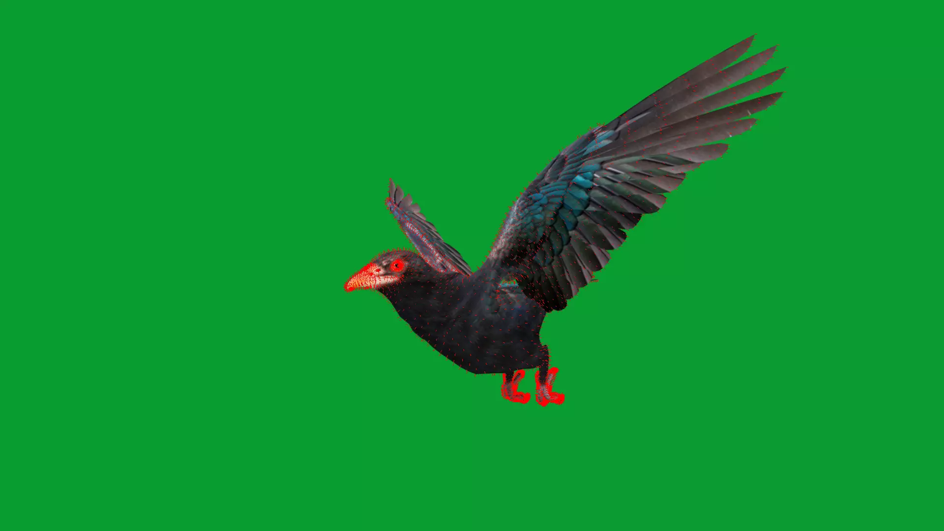 Asian Koel Cuckoo Bird Low-poly 3D model_41