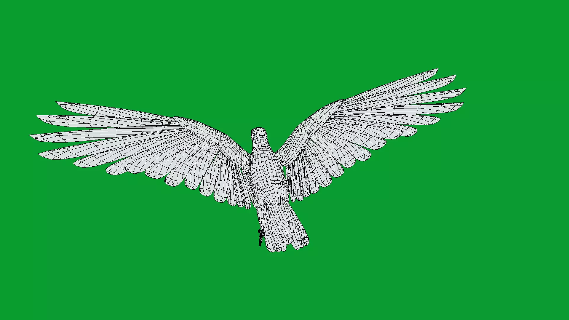 Asian Koel Cuckoo Bird Low-poly 3D model_25