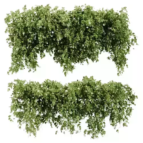 Hanging Ivy Set 02