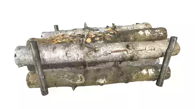 Tree Trunks  Stylized Realistic Environment Asset