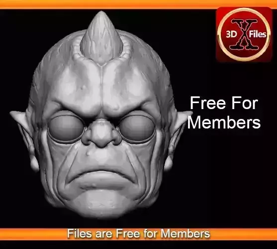 Bom Vimdin - Star Wars Head Sculpt Custom Action Figure 3D print model
