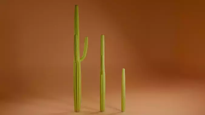 3 cactus low poly
