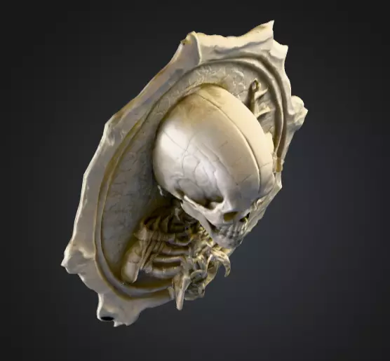 Skeletal Warrior Wall Plaque Low-poly 3D model_9