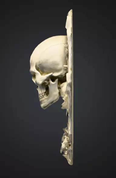 Skeletal Warrior Wall Plaque Low-poly 3D model_6