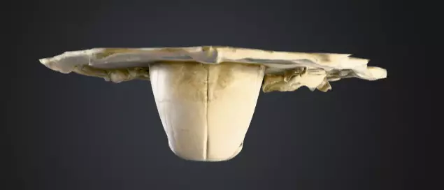 Skeletal Warrior Wall Plaque Low-poly 3D model_15