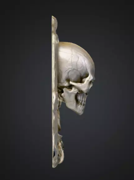 Skeletal Warrior Wall Plaque Low-poly 3D model_2