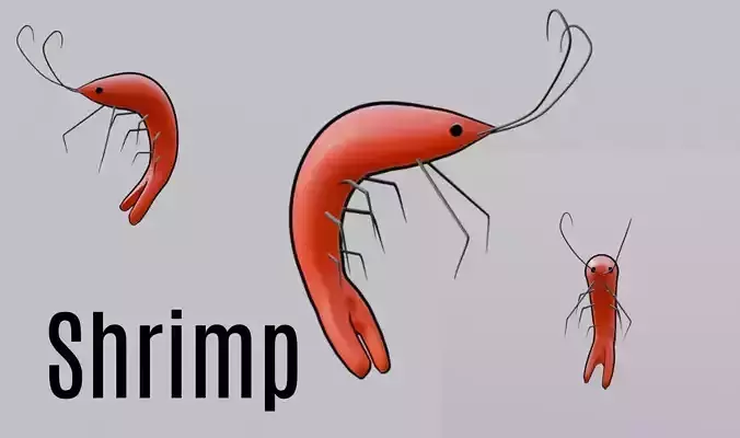 3D mini Shrimp  Low-poly 3D model