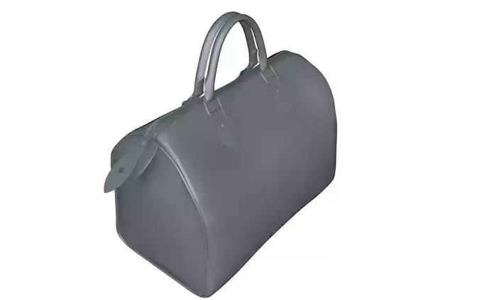 handbag  speed 30 3D print model