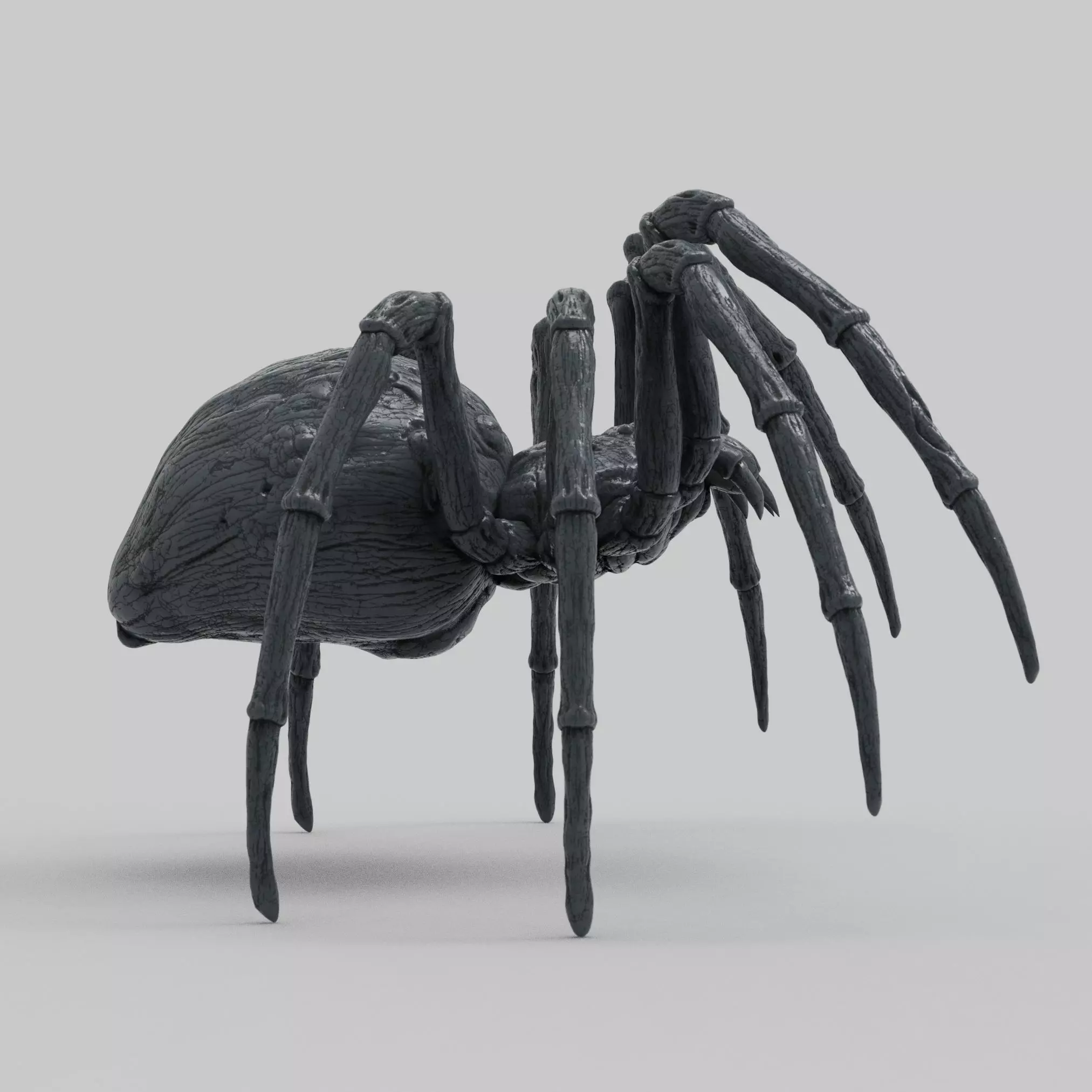 Spider 3D print model_3
