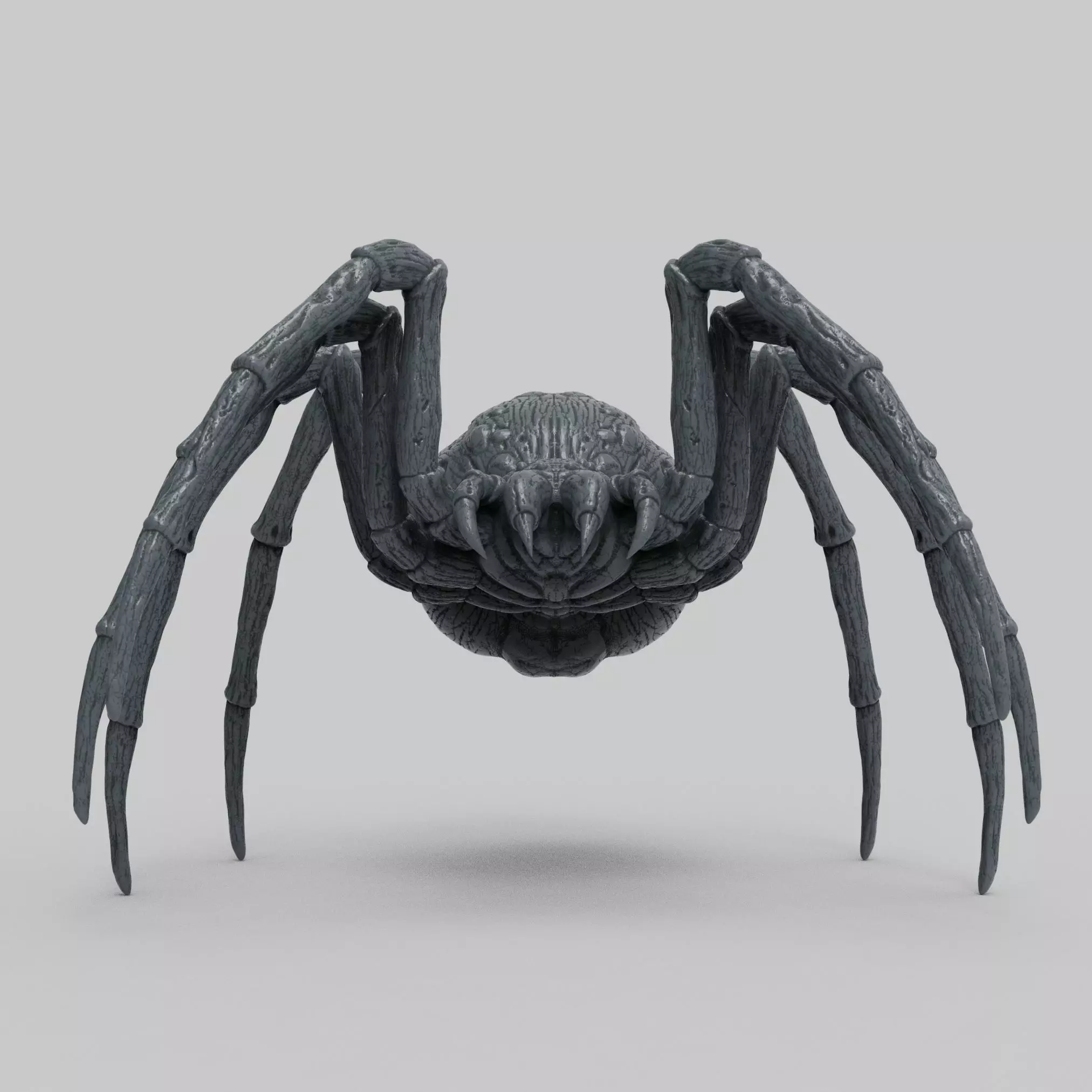 Spider 3D print model_2