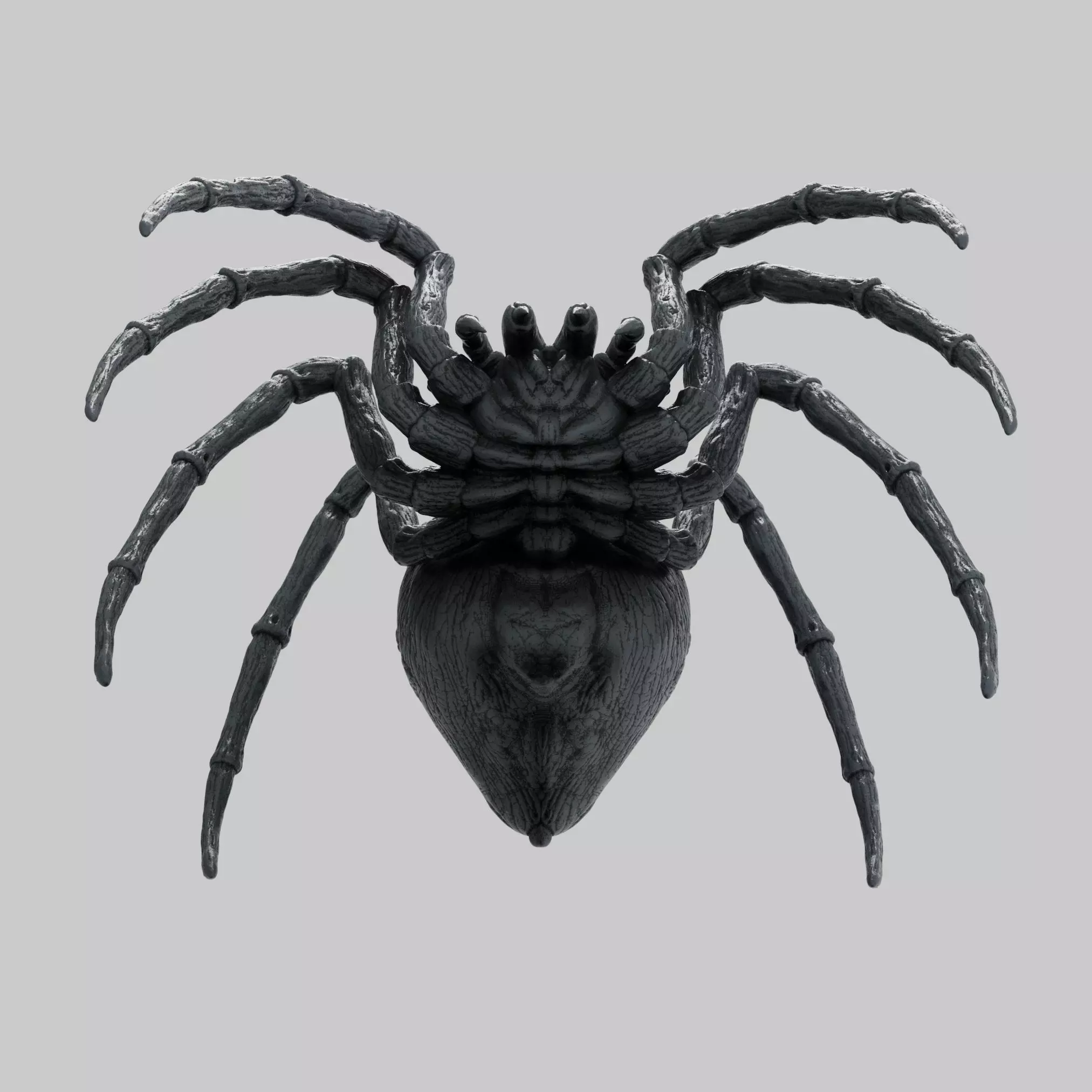 Spider 3D print model_1