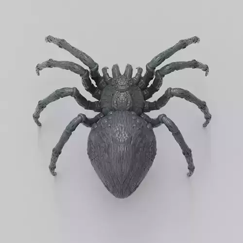 Spider 3D print model
