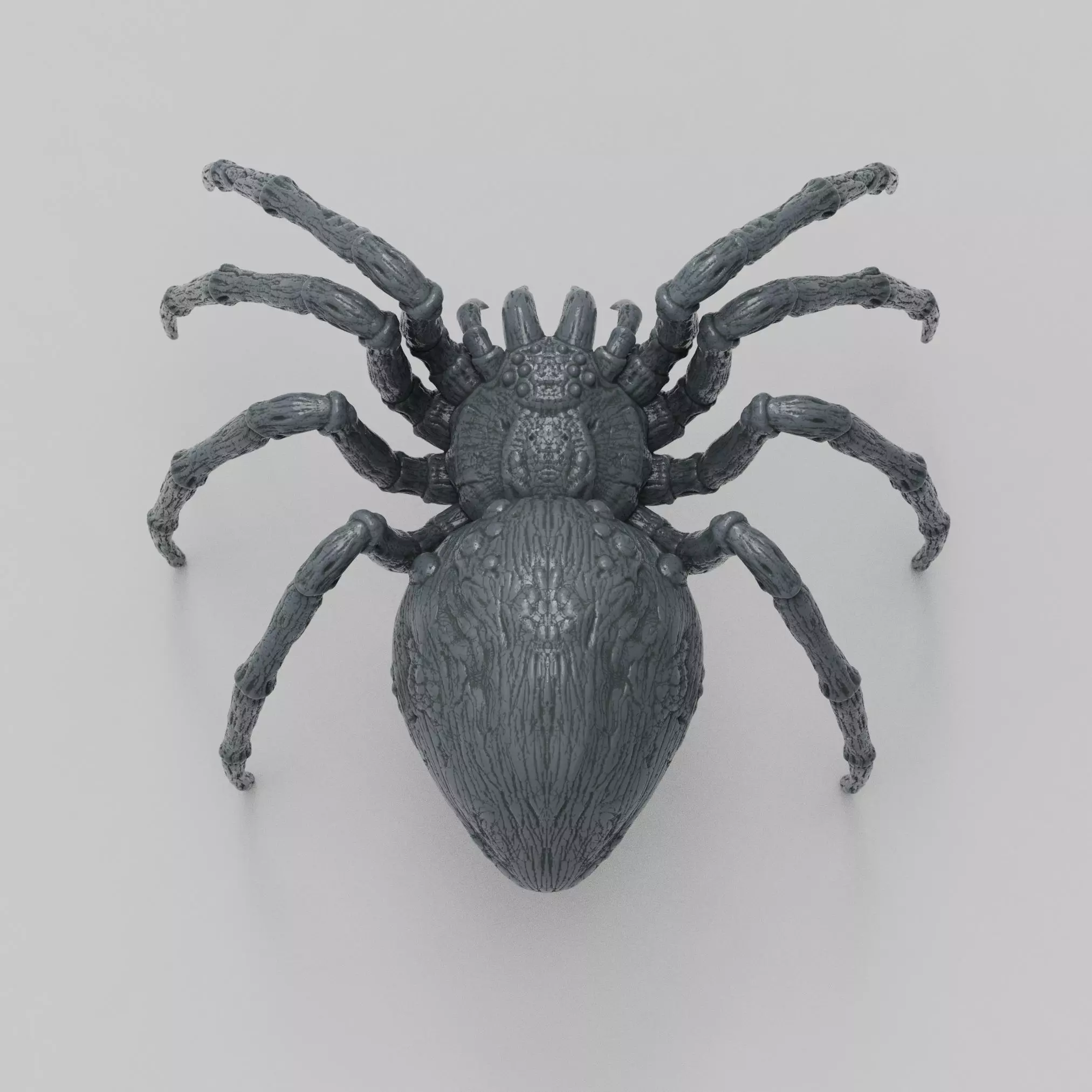 Spider 3D print model_0