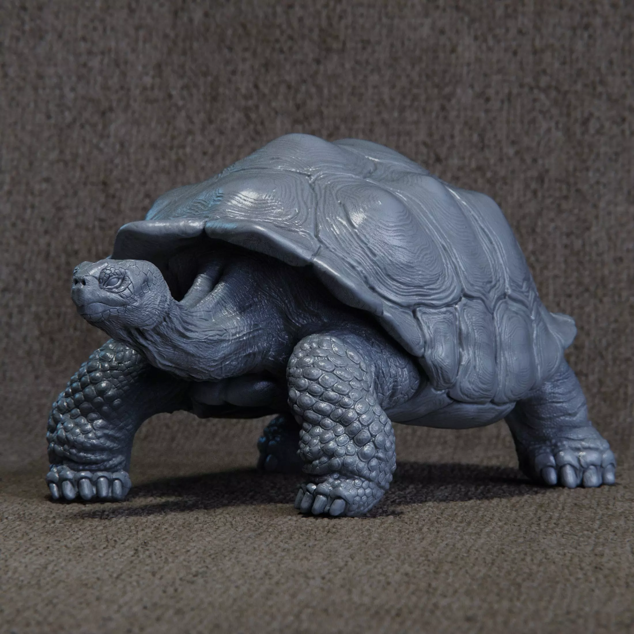 Giant Tortoise 3D print model_2