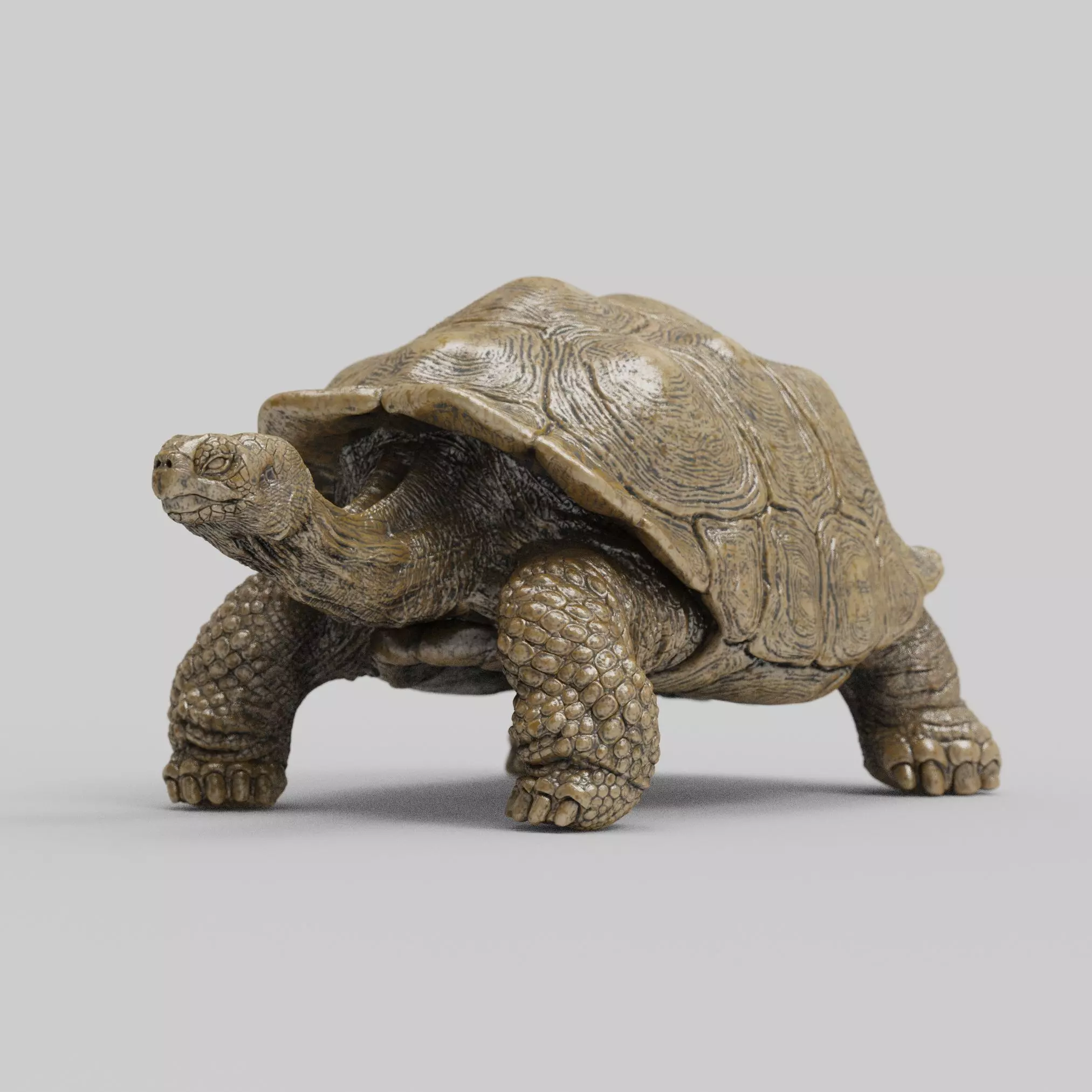 Giant Tortoise 3D print model_1