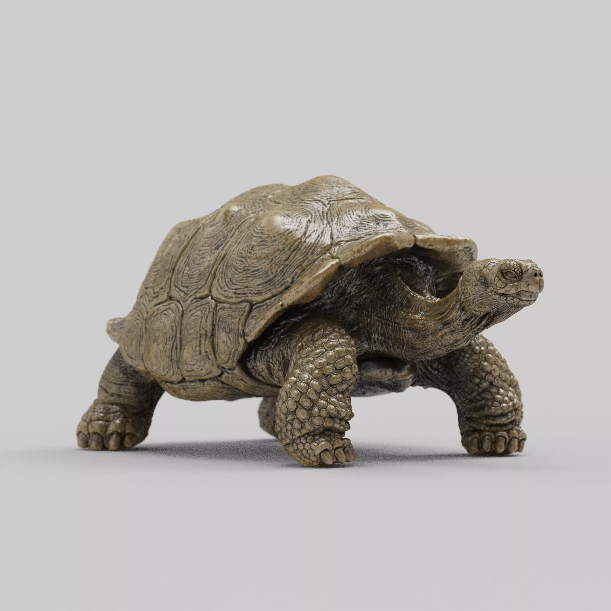 Giant Tortoise 3D print model_0