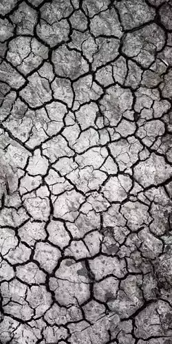 Craked soil Landscape