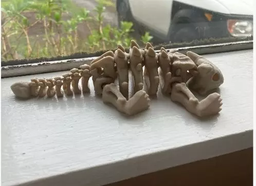 Flexi Dino skeleton  3D print model_12