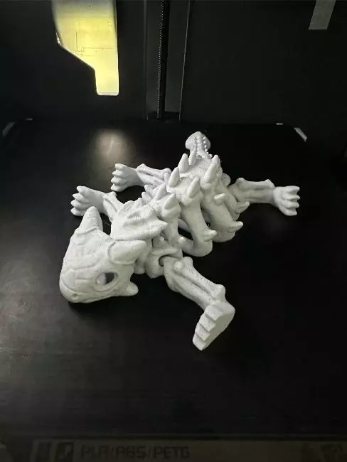 Flexi Dino skeleton  3D print model_10