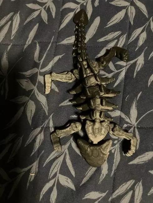 Flexi Dino skeleton  3D print model_8
