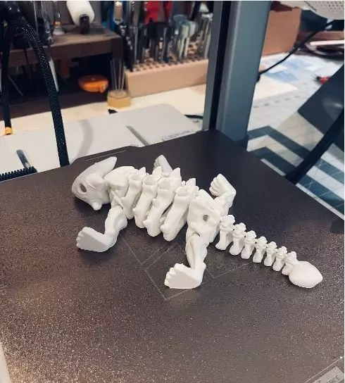 Flexi Dino skeleton  3D print model_16