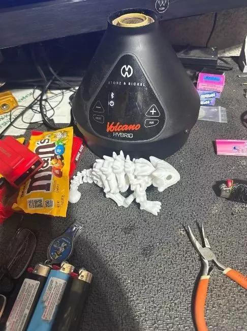 Flexi Dino skeleton  3D print model_5