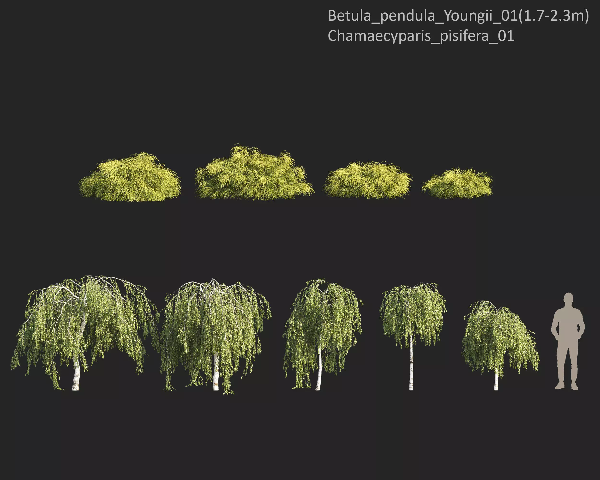 Plants Collection 1 3D model_9